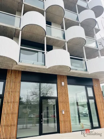 Pronájem bytu 1+kk, Plzeň - Jižní Předměstí, U Borského parku, 24 m2