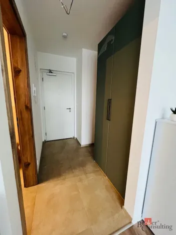 Pronájem bytu 1+kk, Plzeň - Jižní Předměstí, U Borského parku, 24 m2