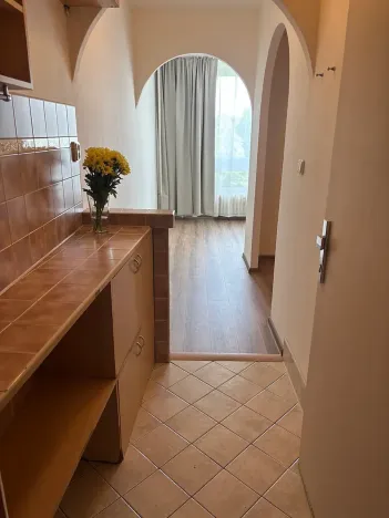 Prodej bytu 1+kk, Frýdek-Místek, 17. listopadu, 23 m2
