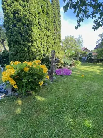 Prodej zahrady, Železnice, 621 m2