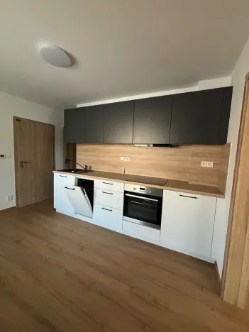 Pronájem bytu 3+1, Olomouc, 150 m2