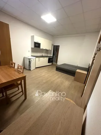 Pronájem bytu 1+kk, Brno, Pražská, 20 m2