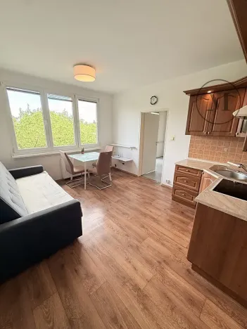 Pronájem bytu 2+kk, České Budějovice, J. Opletala, 38 m2