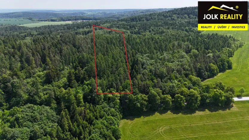 Prodej lesa, Vršovice, 13182 m2