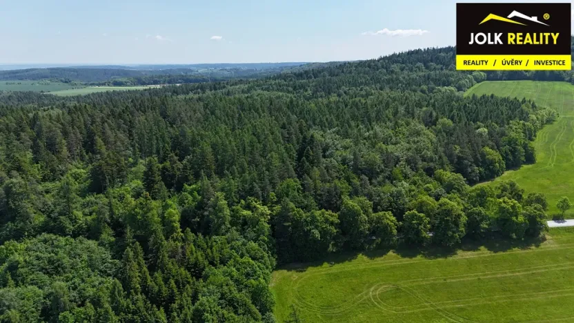 Prodej lesa, Vršovice, 13182 m2