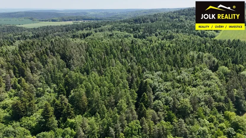 Prodej lesa, Vršovice, 13182 m2