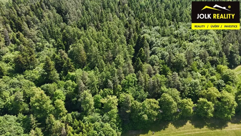 Prodej lesa, Vršovice, 13182 m2