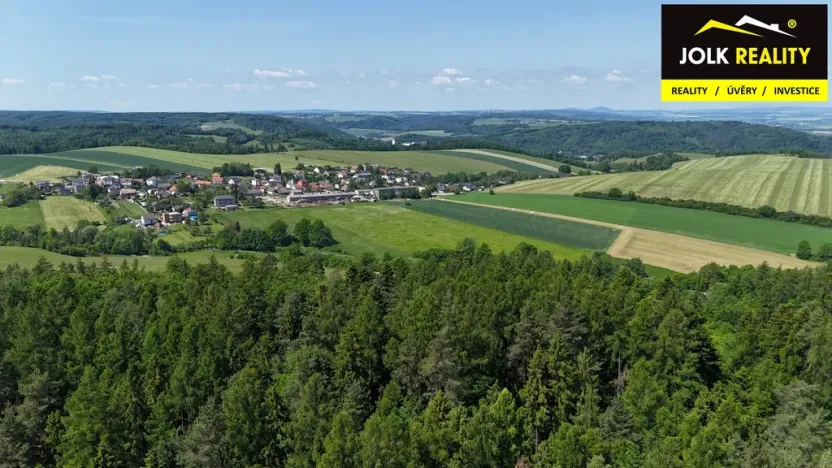 Prodej lesa, Vršovice, 13182 m2