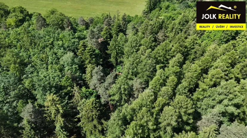 Prodej lesa, Vršovice, 13182 m2
