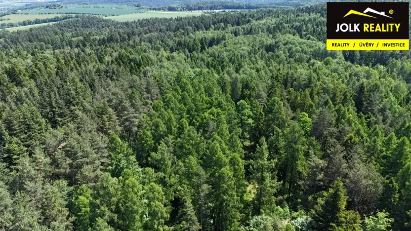 Prodej lesa, Vršovice, 13182 m2