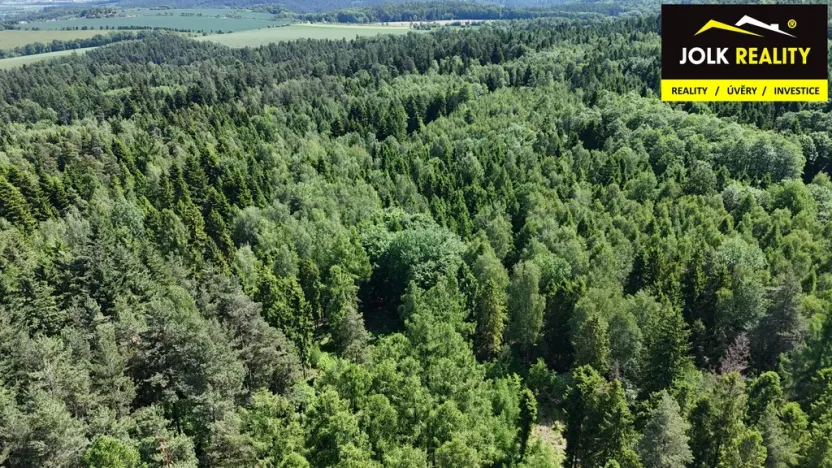 Prodej lesa, Vršovice, 13182 m2