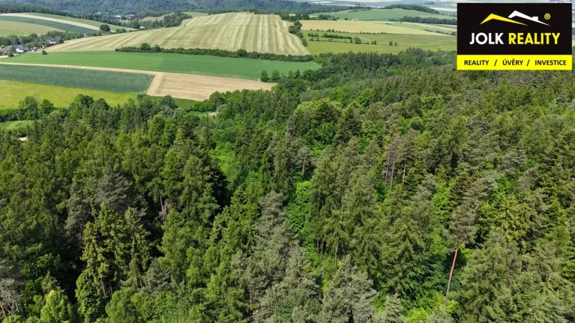 Prodej lesa, Vršovice, 13182 m2