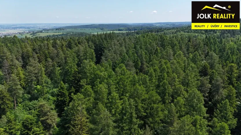 Prodej lesa, Vršovice, 13182 m2