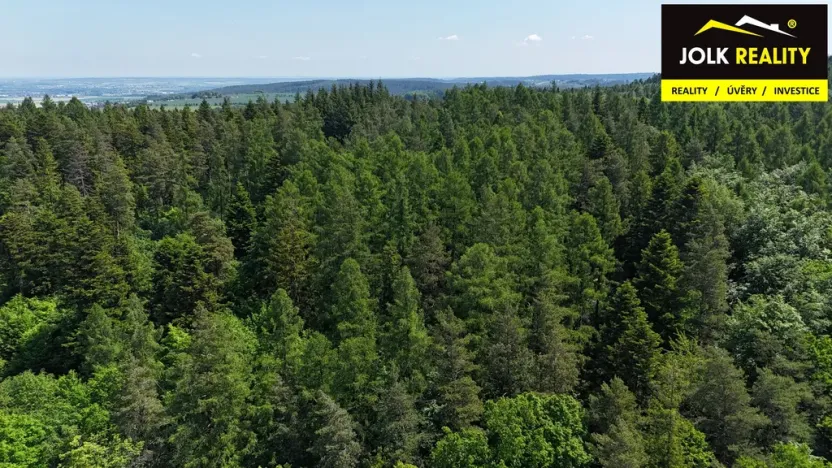 Prodej lesa, Vršovice, 13182 m2