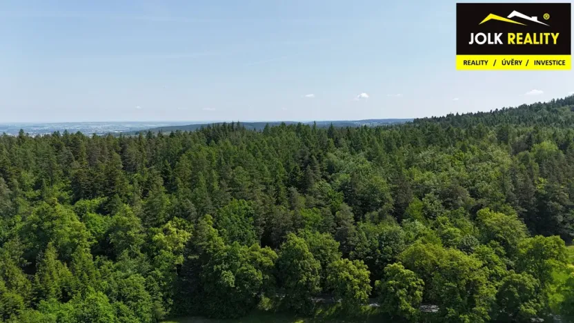 Prodej lesa, Vršovice, 13182 m2