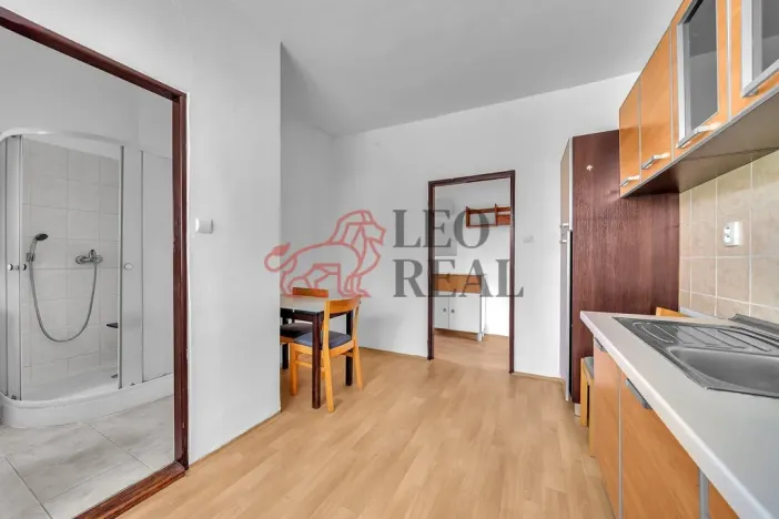 Prodej bytu 1+1, Nové Město nad Metují, Pod Výrovem, 42 m2