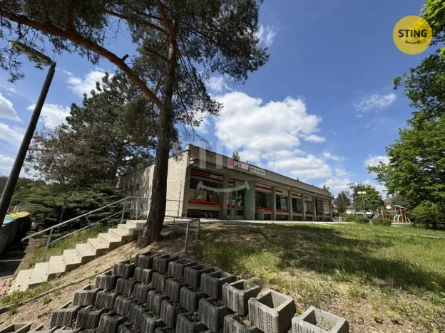 Prodej obchodního prostoru, Ševětín, Vlkovská, 351 m2