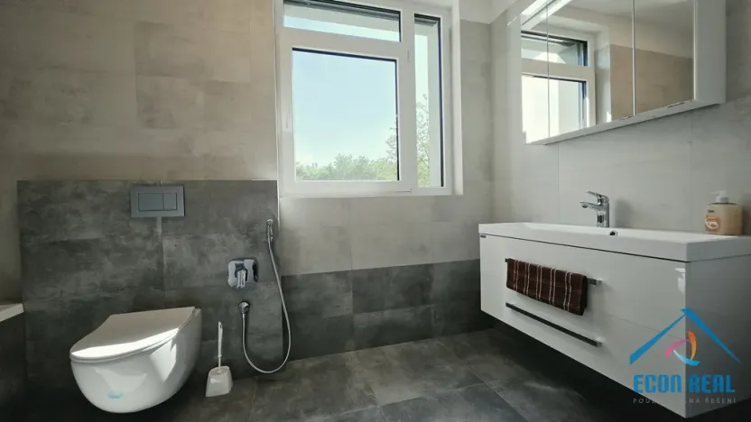 Pronájem bytu 4+kk, Herink, U Kovárny, 165 m2
