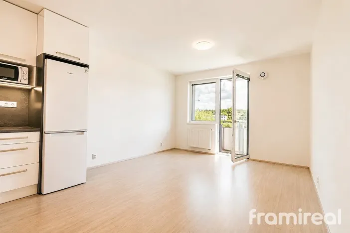 Pronájem bytu 1+kk, Brno, Reissigova, 34 m2
