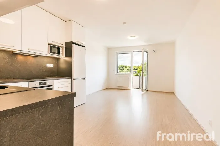 Pronájem bytu 1+kk, Brno, Reissigova, 34 m2