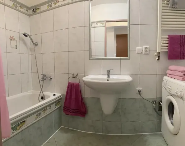 Pronájem bytu 2+1, Praha - Žižkov, Vlkova, 52 m2