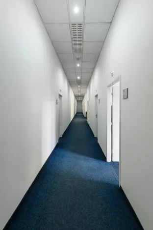 Pronájem kanceláře, Praha - Žižkov, Hartigova, 78 m2