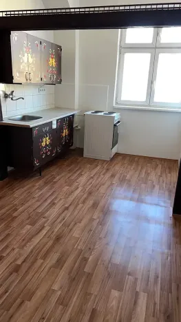 Pronájem bytu 2+kk, Pardubice, Nerudova, 50 m2