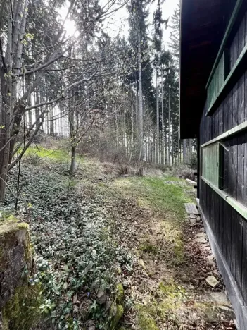 Prodej chaty, Velké Petrovice, 35 m2