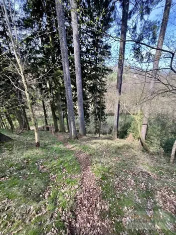 Prodej chaty, Velké Petrovice, 35 m2