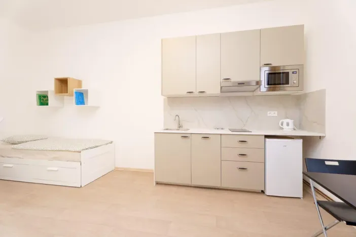 Pronájem bytu 1+kk, Praha - Libeň, Kolčavka, 335 m2