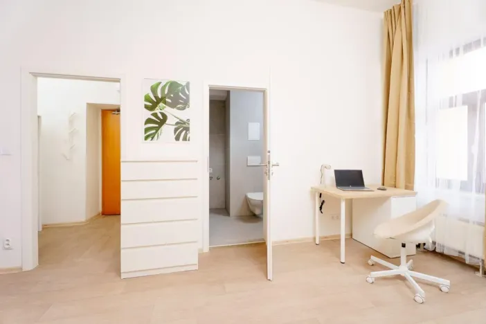 Pronájem bytu 1+kk, Praha - Libeň, Kolčavka, 335 m2