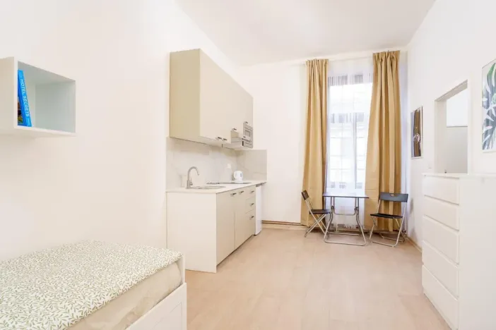 Pronájem bytu 1+kk, Praha - Libeň, Kolčavka, 335 m2