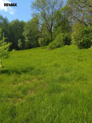 Prodej pozemku pro bydlení, Merklín, 1000 m2