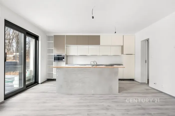Prodej rodinného domu, Bukovany, 308 m2