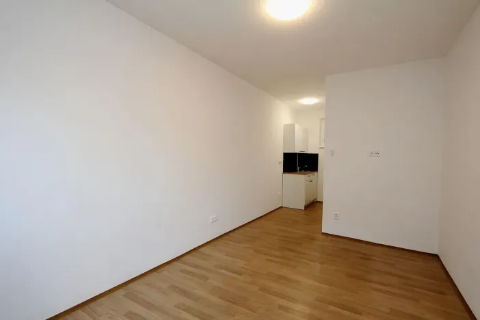 Pronájem bytu 1+kk, Pardubice - Rosice, generála Svobody, 21 m2