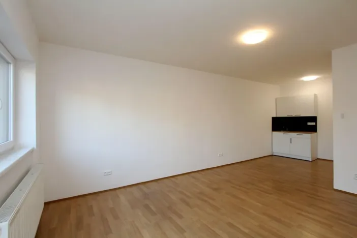 Pronájem bytu 1+kk, Pardubice - Rosice, generála Svobody, 29 m2