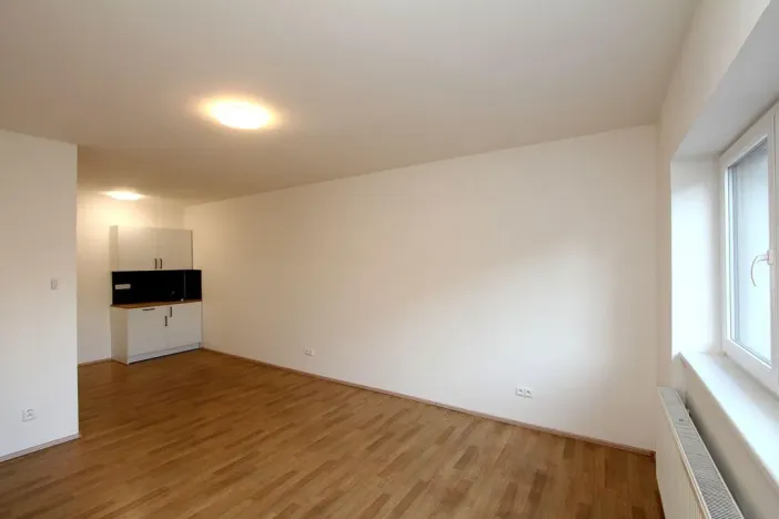 Pronájem bytu 1+kk, Pardubice - Rosice, generála Svobody, 29 m2