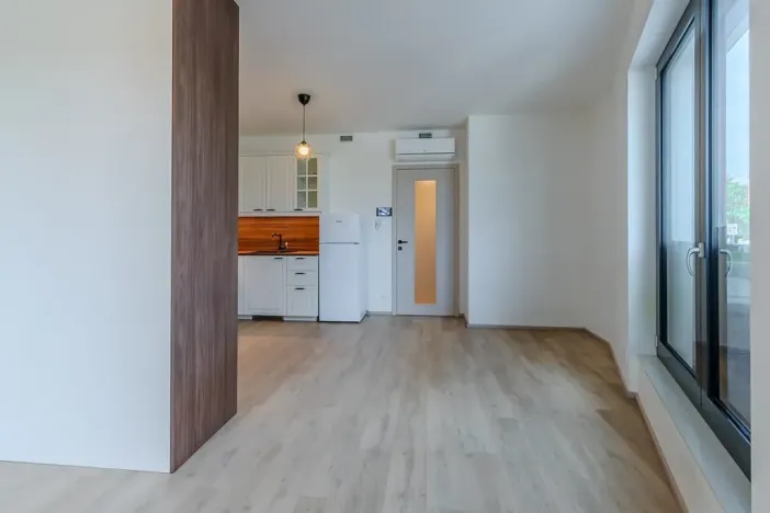 Pronájem bytu 1+kk, Praha - Žižkov, Malešická, 39 m2