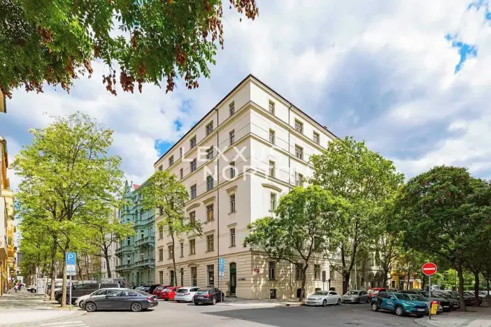 Prodej bytu 3+kk, Praha - Vinohrady, Mánesova, 153 m2