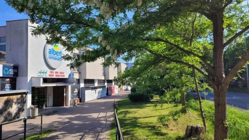 Prodej bytu 1+kk, Praha - Zbraslav, Elišky Přemyslovny, 35 m2