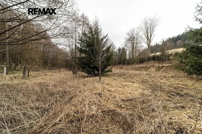 Prodej pozemku pro bydlení, Červená Voda, 1100 m2