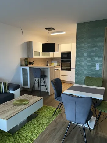Pronájem bytu 2+kk, Plzeň - Východní Předměstí, Pallova, 46 m2