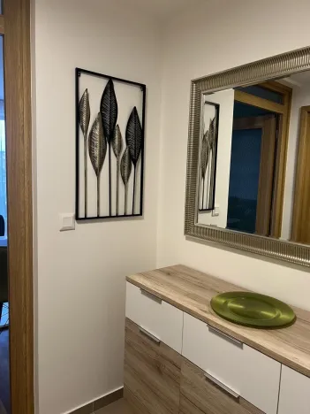 Pronájem bytu 2+kk, Plzeň - Východní Předměstí, Pallova, 46 m2