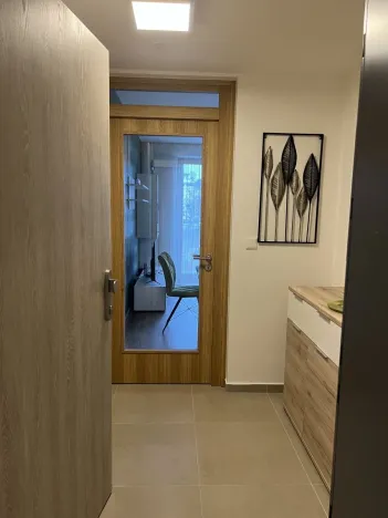 Pronájem bytu 2+kk, Plzeň - Východní Předměstí, Pallova, 46 m2