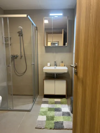 Pronájem bytu 2+kk, Plzeň - Východní Předměstí, Pallova, 46 m2