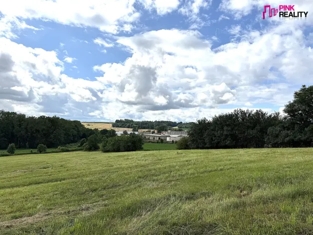 Prodej louky, Rychnov nad Kněžnou, 16663 m2