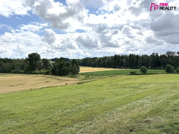 Prodej louky, Rychnov nad Kněžnou, 16663 m2