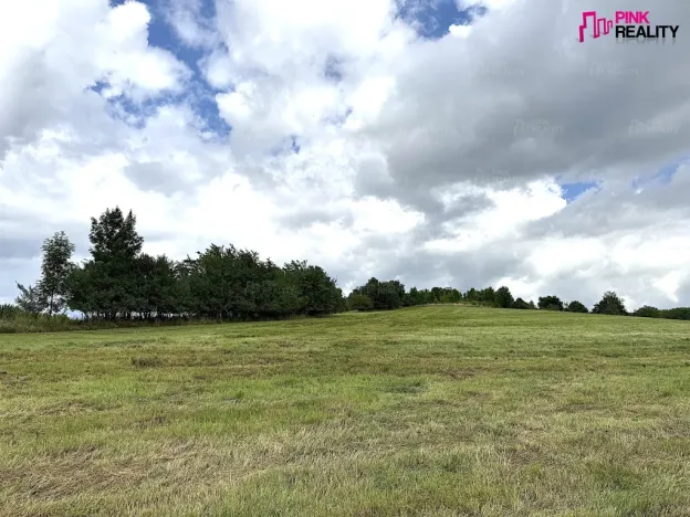 Prodej louky, Rychnov nad Kněžnou, 16663 m2