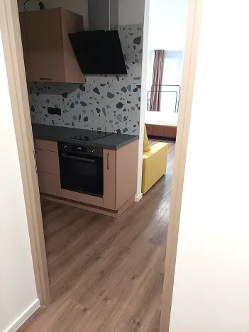 Pronájem bytu 2+kk, Praha - Žižkov, V domově, 45 m2