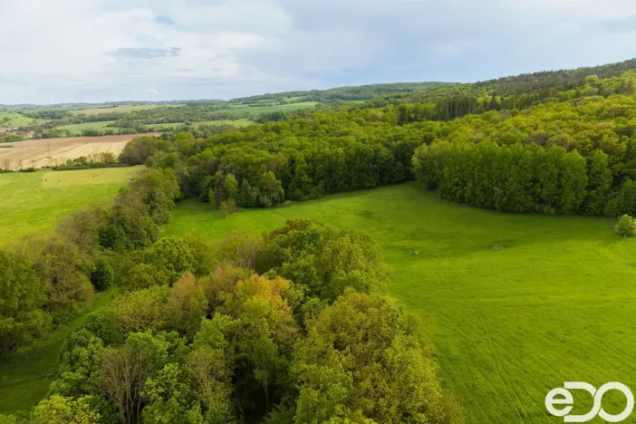 Prodej rodinného domu, Kravaře - Veliká, 500 m2